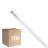 Lot 10x Philips Master Tube LED T8 (EM/Direct 230V) High Output T8 7.6W 1150lm - 865 Lumière Du Jour | 60cm - Équivalent 18W