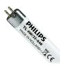 Philips T5 Short 4W - 640 Blanc Froid | 14cm