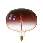 Calex Boden Marron LED E27 Filament 5W 130lm - 818 Blanc Très Chaud | Dimmable