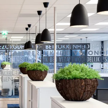 Solutions d'&eacute;clairage DALI pour bureaux